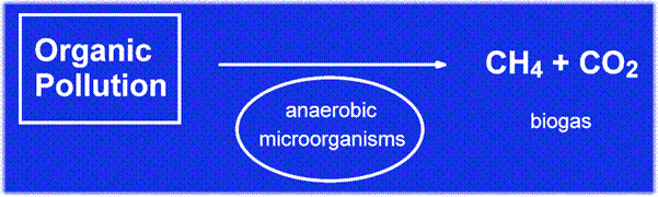Conversion of Organic Pollutants to Biogas by Anaerobic Microorganisms
