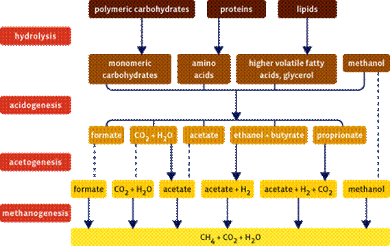 Schematic representation of the methane fermentation